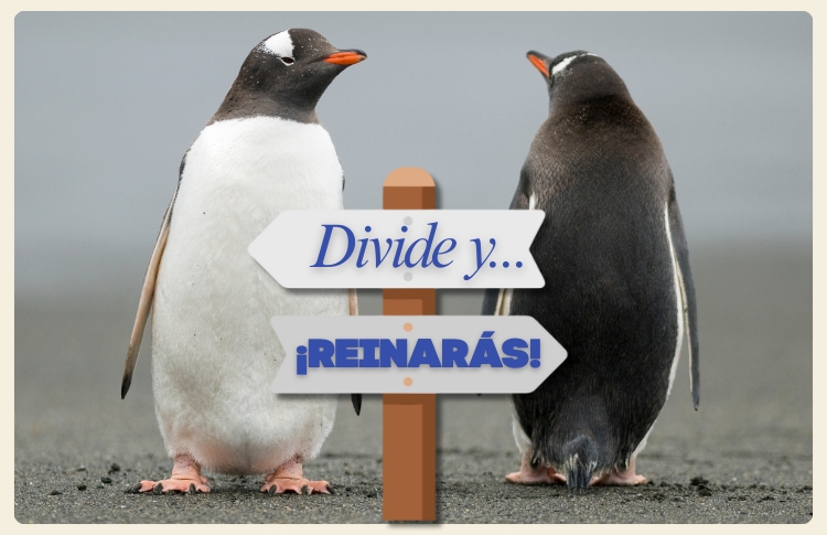 polarizacion-riesgos